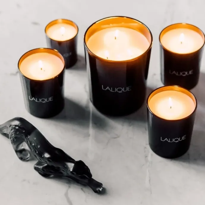 LaliqueNéroli Casablanca Maroc Bougie Parfumée