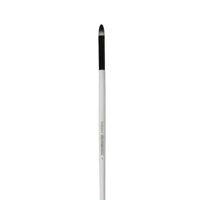 Parisax Pinceau Lèvres Professionnel Nylon N°7
