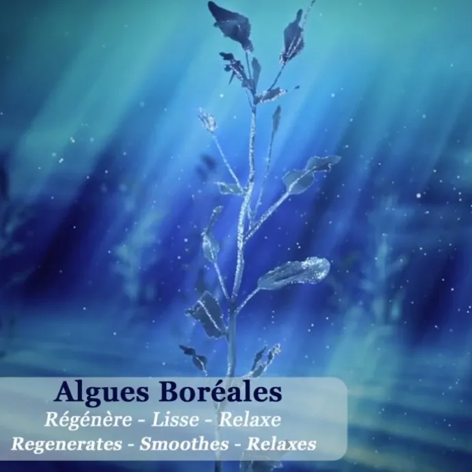 PolaarNuit Polaire aux Algues Boréales Elixir Revitalisant
