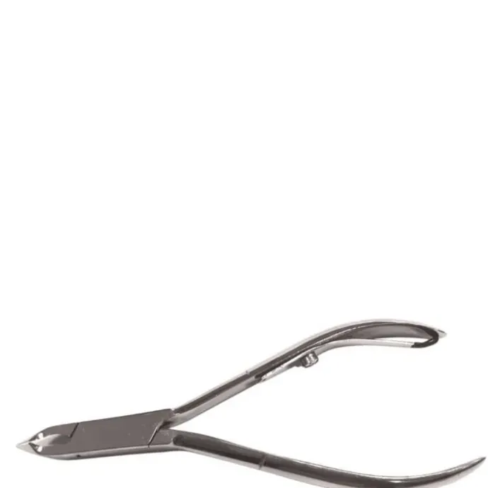 SamsarPince à Envies Standard Acier Inoxydable - 10 cm