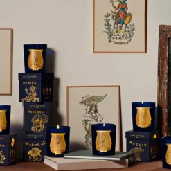 TrudonEsterel                Bougie Parfumée
