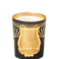 TrudonFir - Sapin de Noël Bougie Parfumée Intermède