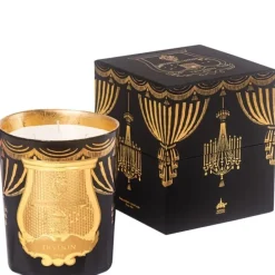 TrudonFir - Sapin de Noël                Bougie Parfumée Intermède