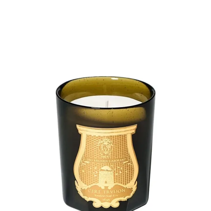 TrudonGabriel Bougie Parfumée - 270 g