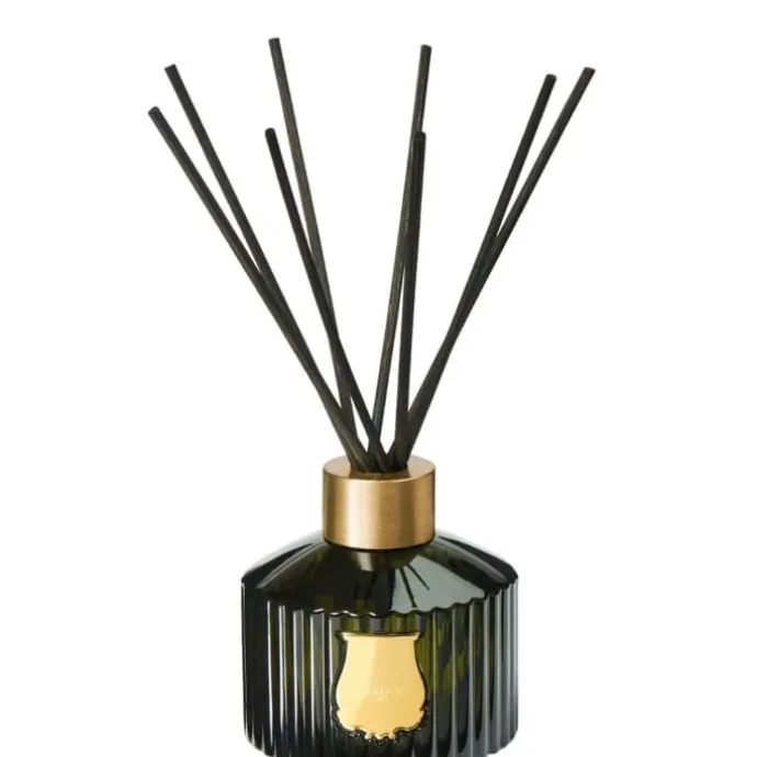 TrudonGabriel Diffuseur d'Ambiance