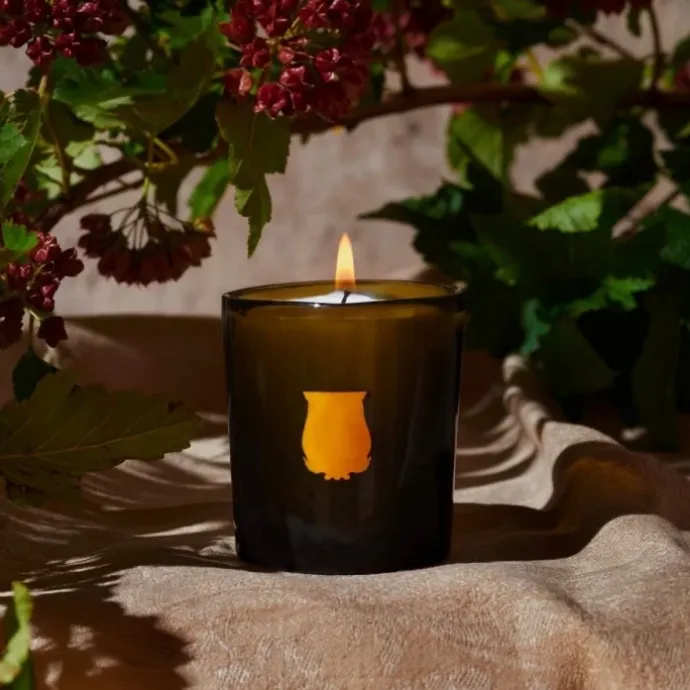 TrudonSolis Rex Bougie Parfumée