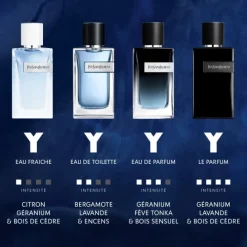 YVES SAINT LAURENTY Eau de Toilette