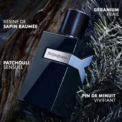 YVES SAINT LAURENTY Le Parfum Eau de Parfum